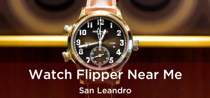 Watch Flipper Near Me San Leandro